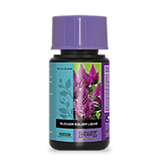 Atami B'Cuzz Blossom Builder Liquid 100ml - GrowXL GmbH